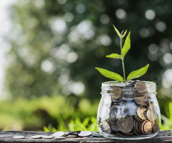 7 aplicativos para organizar sua vida financeira