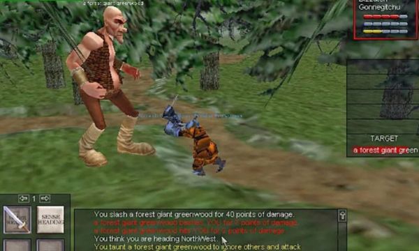 7-Jogos estilo MMORPG-dos-anos-que-foram-muito-bem-sucedidos-Confira