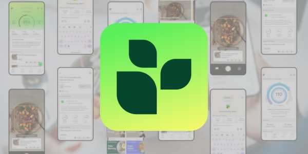 Aplicativo Lifesum
