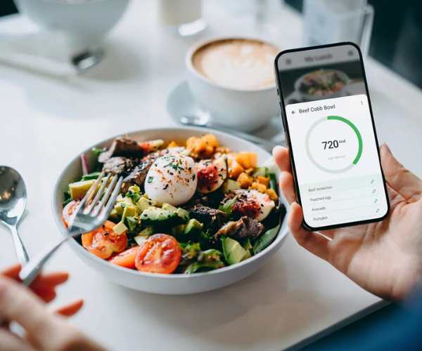 Como usar seu celular para calcular as calorias das refeições